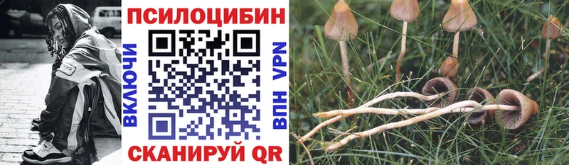 Галлюциногенные грибы ЛСД Чебоксары