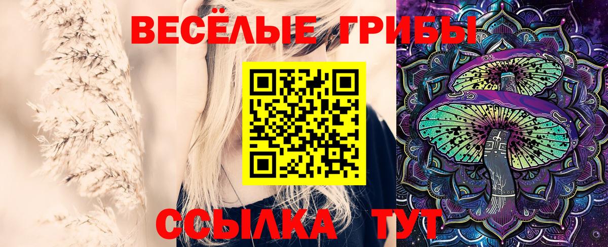 что такое   Псилоцибиновые грибы мицелий  Вход с VPN  Чебоксары 